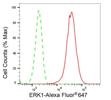ERK1 Antibody (23GB2450)
