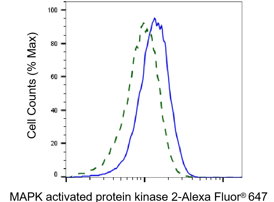 MAPKAPK2 Antibody (23GB2950)