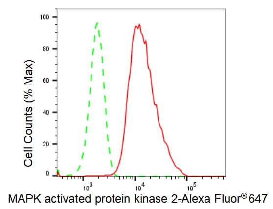 MAPKAPK2 Antibody (23GB2950)