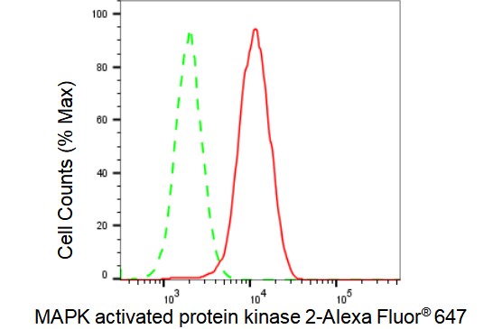 MAPKAPK2 Antibody (23GB2820)