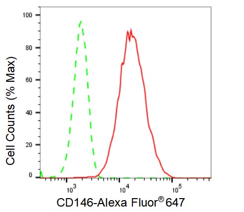 MCAM/CD146 Antibody (23GB2705)