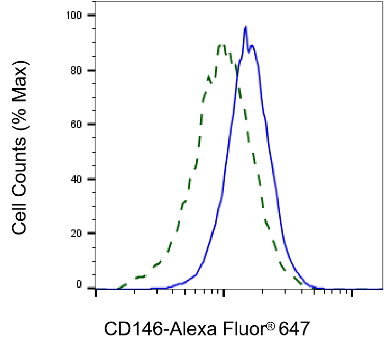 MCAM/CD146 Antibody (23GB2705)