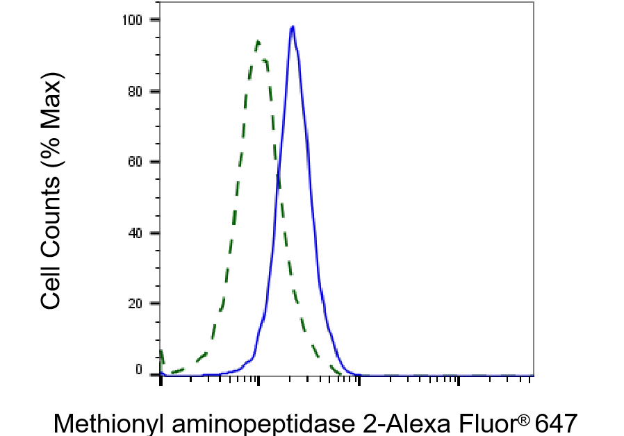 Methionine Aminopeptidase 2/METAP2 Antibody (23GB2565)