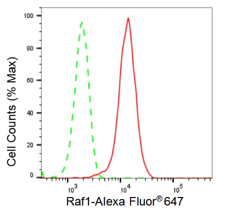 Raf-1 Antibody (23GB2700)
