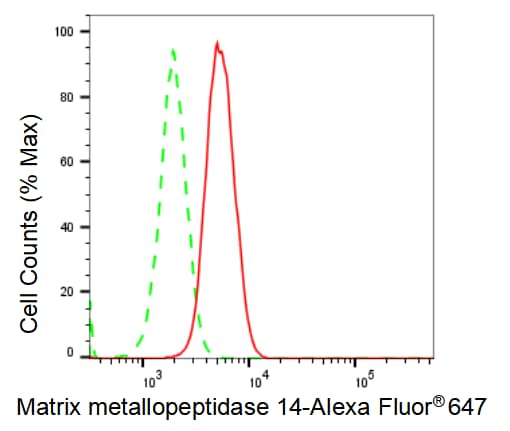 MMP-14/MT1-MMP Antibody (23GB2695)