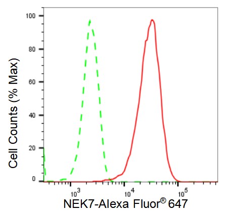 NEK7 Antibody (23GB2885)