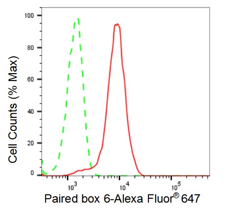 Pax6 Antibody (23GB2875)