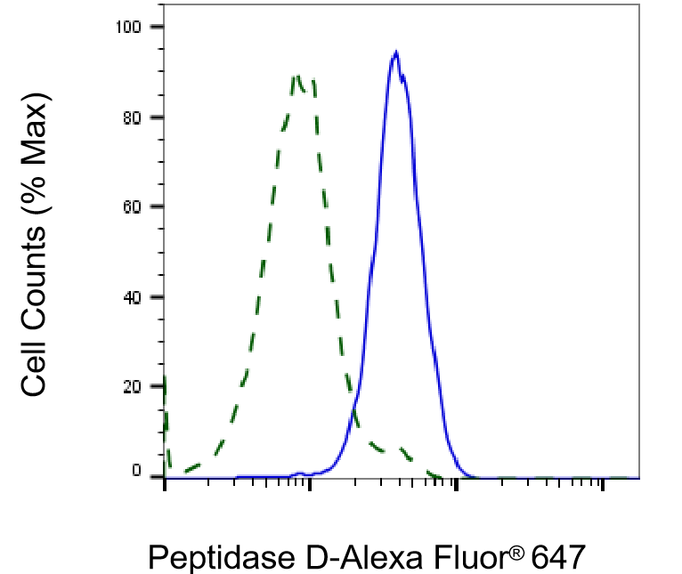 PEPD Antibody (23GB2830)