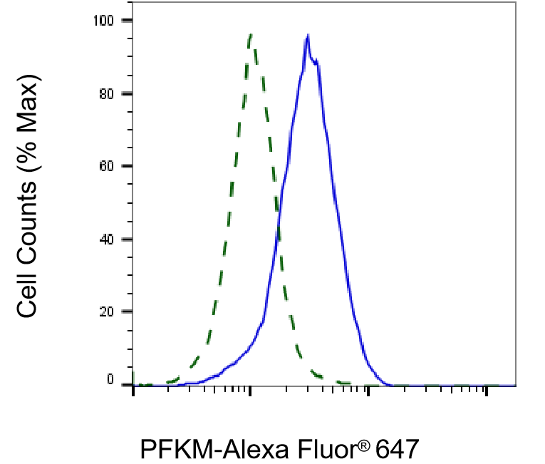 Muscle Phosphofructokinase/PFKM/PFK-1 Antibody (23GB2740)