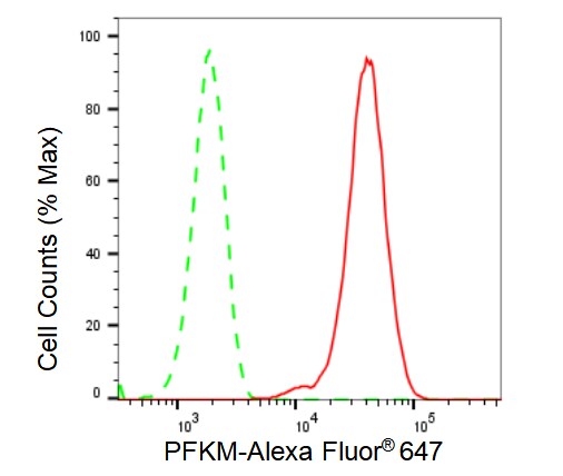 Muscle Phosphofructokinase/PFKM/PFK-1 Antibody (23GB2740)