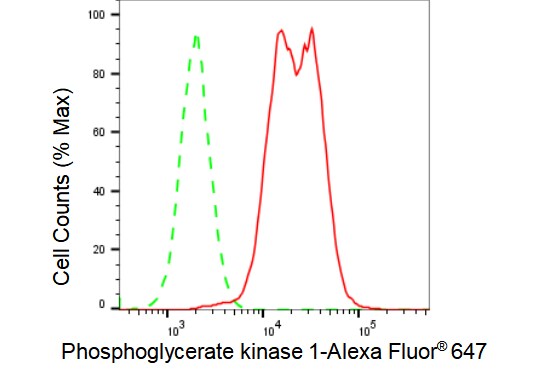 PGK1 Antibody (23GB2430)
