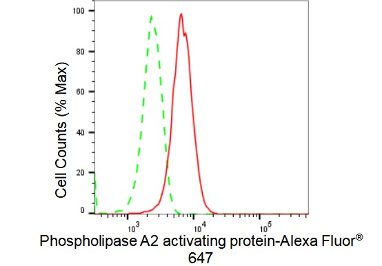 PLAP Antibody (23GB2560)