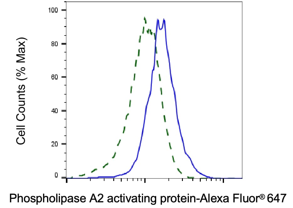 PLAP Antibody (23GB2560)