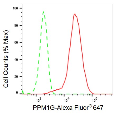 PP2C gamma/PPM1G Antibody (23GB2590)