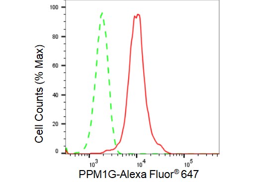 PP2C gamma/PPM1G Antibody (23GB2585)