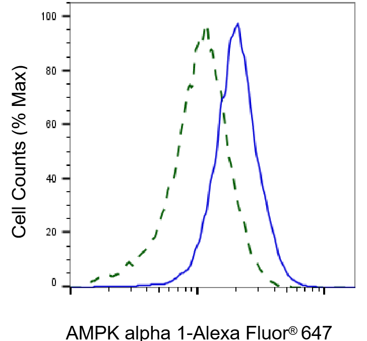AMPK alpha 1 Antibody (23GB2685)