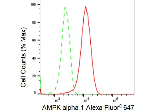 AMPK alpha 1 Antibody (23GB2685)