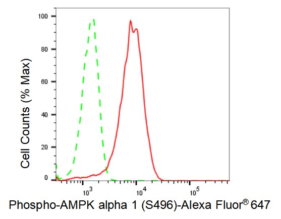 AMPK alpha 1 [p Ser496] Antibody (23GB2660)