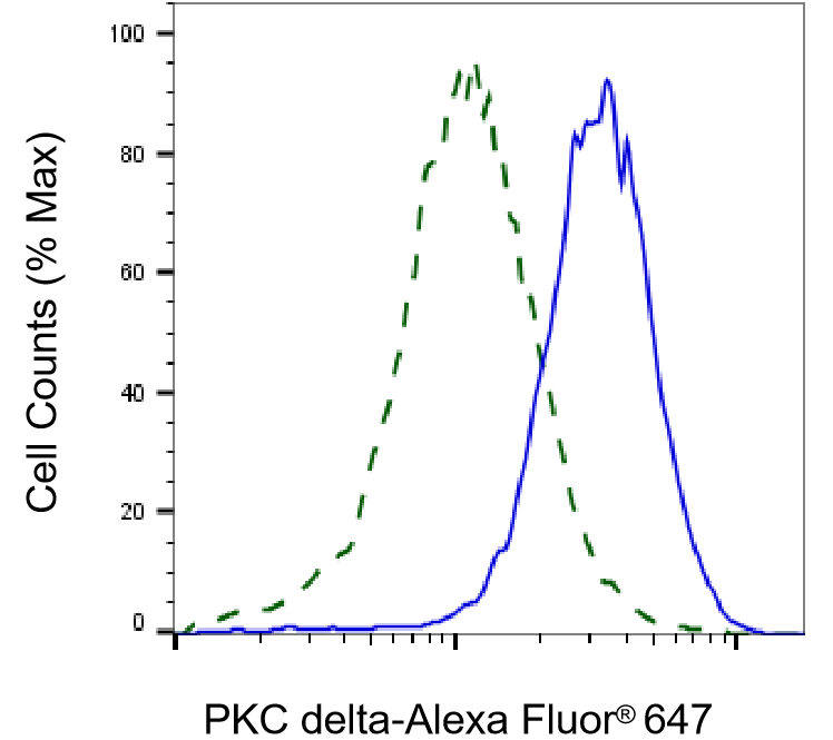 PKC delta Antibody (23GB2410)