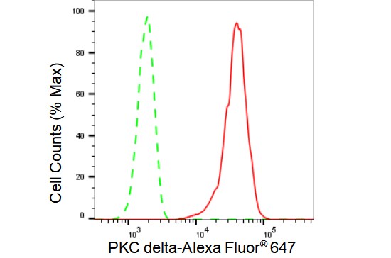PKC delta Antibody (23GB2410)