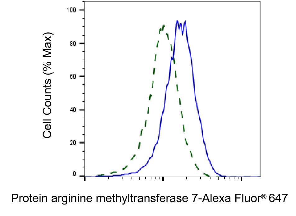 PRMT7 Antibody (23GB2380)