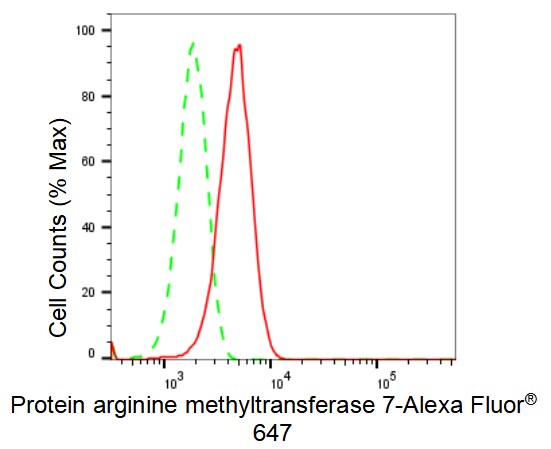 PRMT7 Antibody (23GB2380)