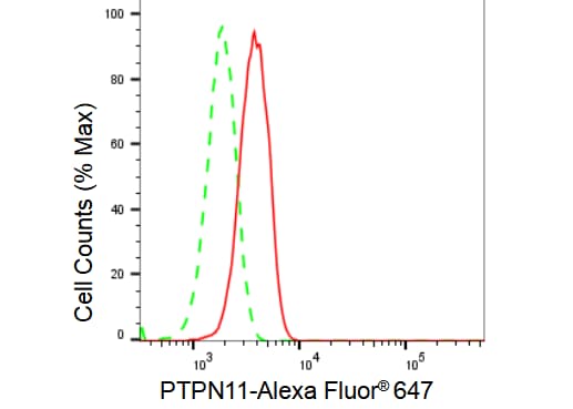 SHP-2/PTPN11 Antibody (23GB2670)