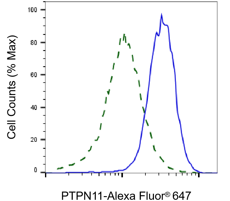 SHP-2/PTPN11 Antibody (23GB2665)