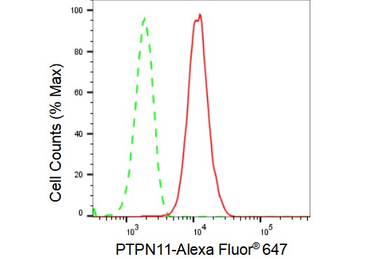 SHP-2/PTPN11 Antibody (23GB2665)
