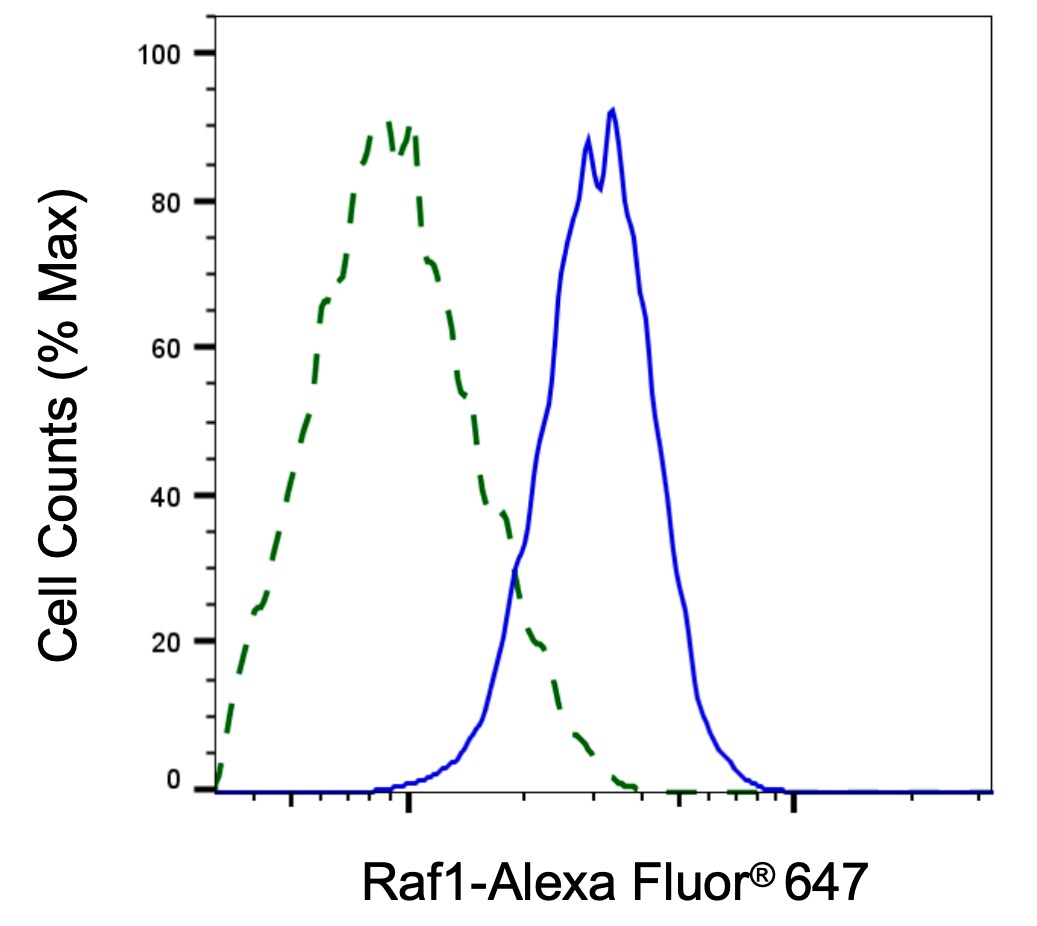 Raf-1 Antibody (23GB2640)
