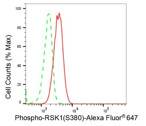 RSK1 [p Ser380] Antibody (23GB2425)