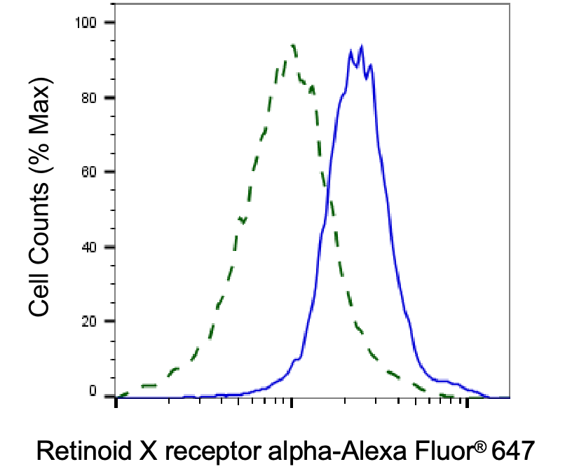 RXR alpha/NR2B1 Antibody (23GB2815)