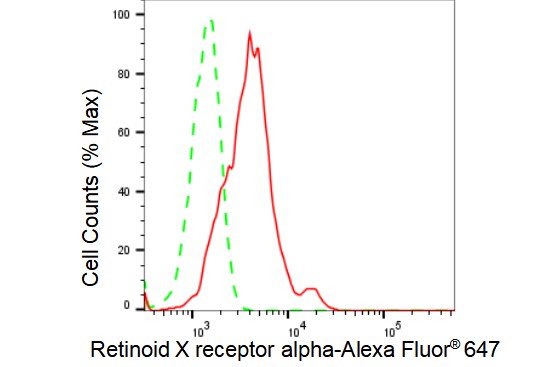 RXR alpha/NR2B1 Antibody (23GB2815)