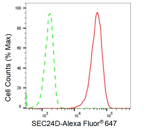 SEC24D Antibody (23GB2510)