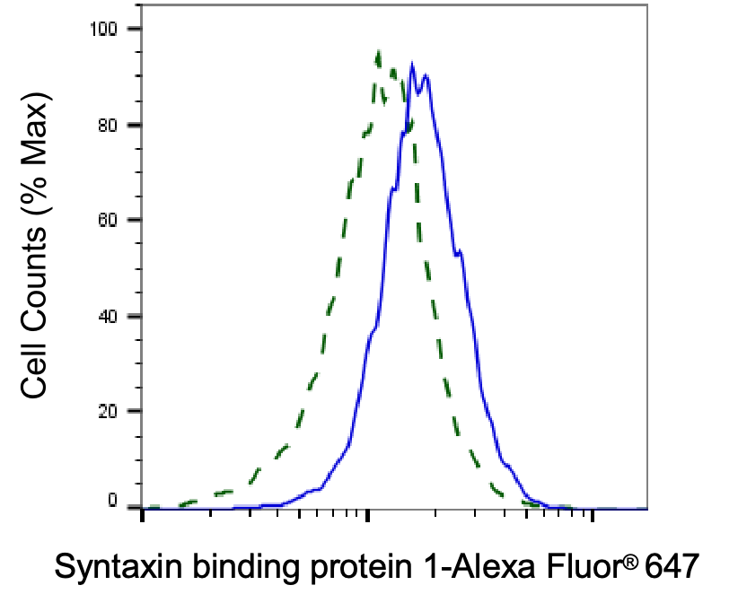 Syntaxin-BP1 Antibody (23GB2570)