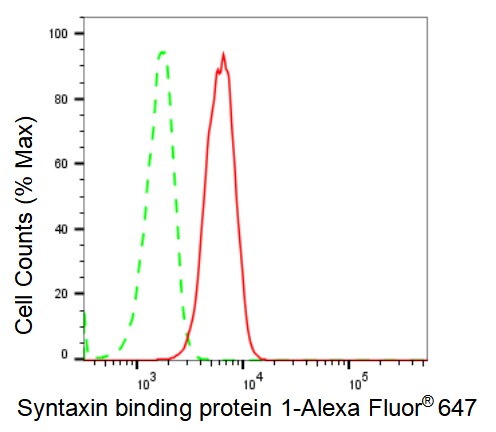 Syntaxin-BP1 Antibody (23GB2570)