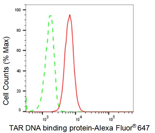 TDP-43/TARDBP Antibody (23GB2405)