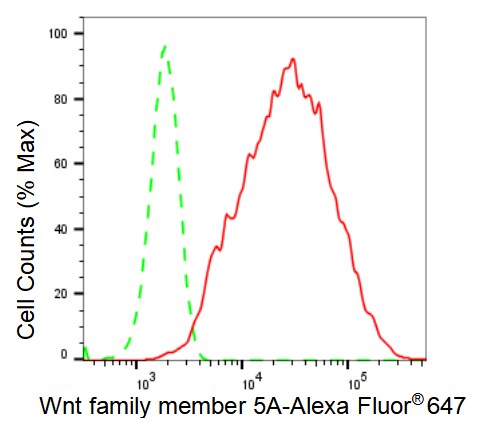 Wnt-5a Antibody (23GB2400)