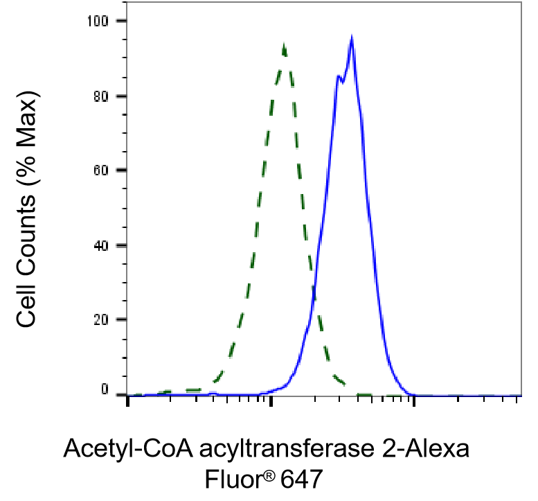 ACAA2 Antibody (23GB2955)