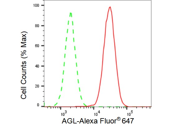 AGL Antibody (23GB2965)
