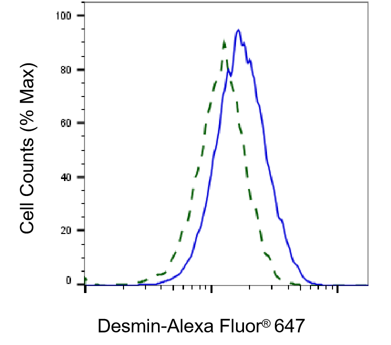 Desmin Antibody (23GB3120)