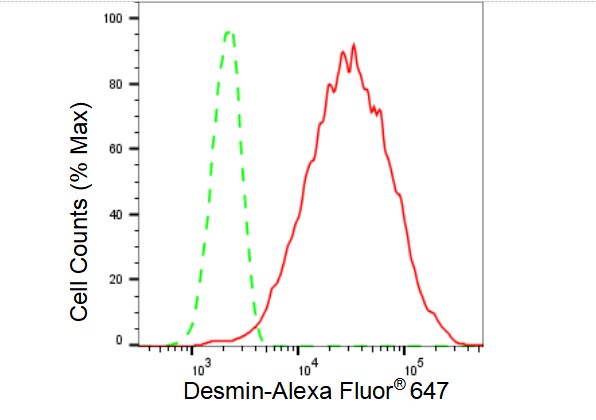 Desmin Antibody (23GB3120)