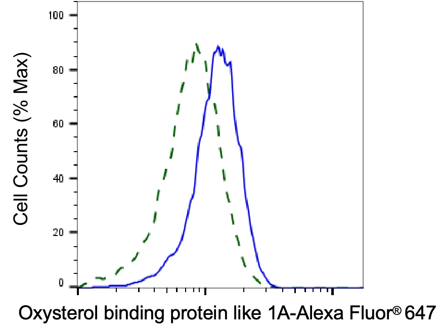 ORP1 Antibody (23GB4065)