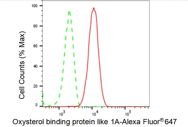 ORP1 Antibody (23GB4065)