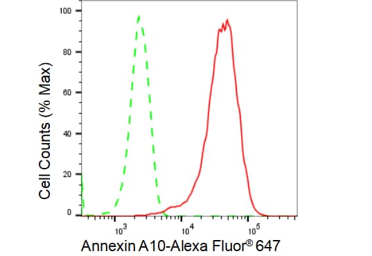 Annexin A10 Antibody (23GB3215)