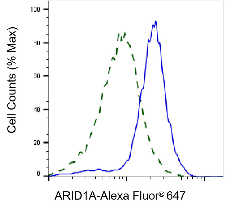 ARID1A Antibody (23GB3230)