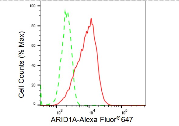 ARID1A Antibody (23GB3230)