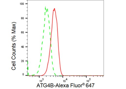 ATG4B Antibody (23GB3240)