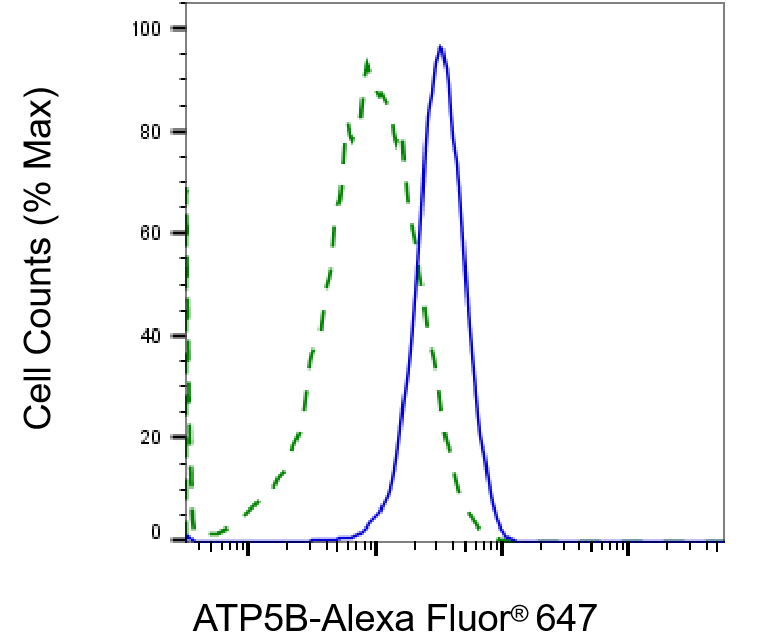 ATPB Antibody (23GB3255)