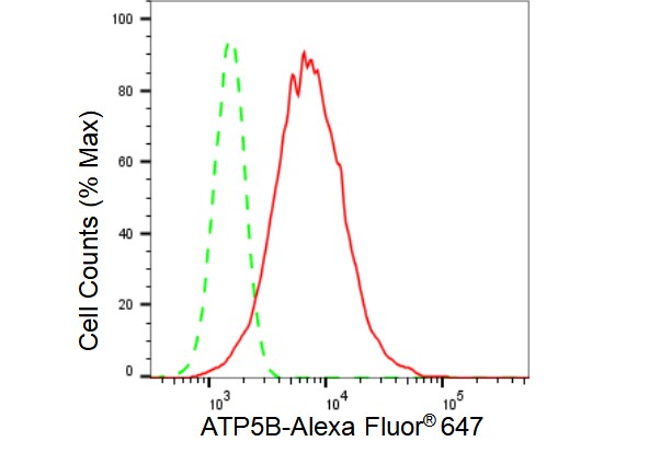 ATPB Antibody (23GB3255)